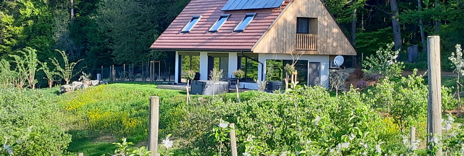 Ansicht Haus mit Obstgarten