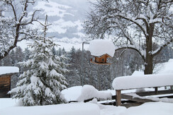 Blick ins Tal vom Stoizimmer aus