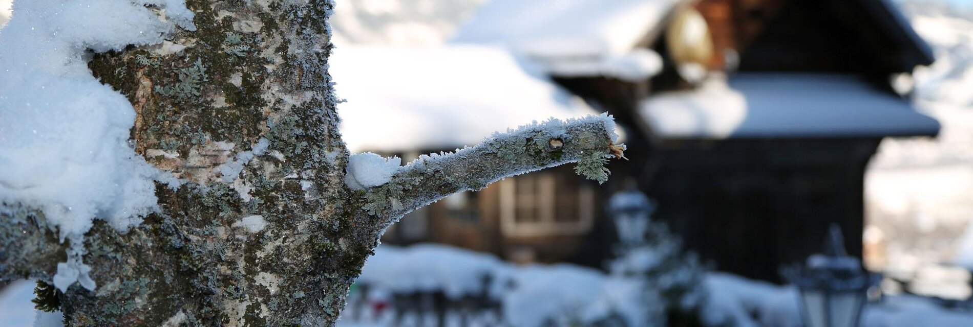 Winter3