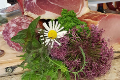 Loiposchutto vom Chef