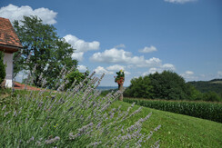 Aussenbereich Kellerstöckl