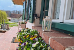 Frühling Kellerstöckl