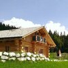 Photo of Hut, separate toilet and shower/bathtub, sauna