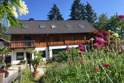 Building view summer