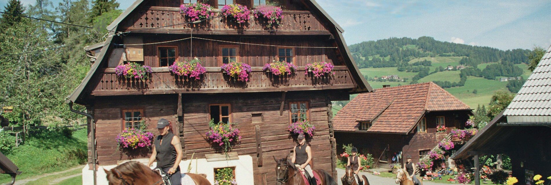 Sommerfoto_Bauernhaus