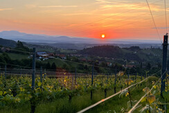 Sonnenaufgang 1