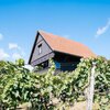 Photo of Holiday home in the vinyard