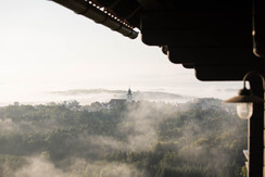 Nebel über den Weingärten