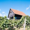 Photo of Holiday home in the vinyard