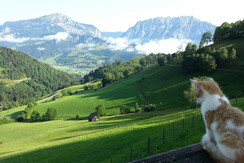 11822439_859552290765428_538496700392191460_n