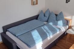 Living room couch - used as a sofa bed