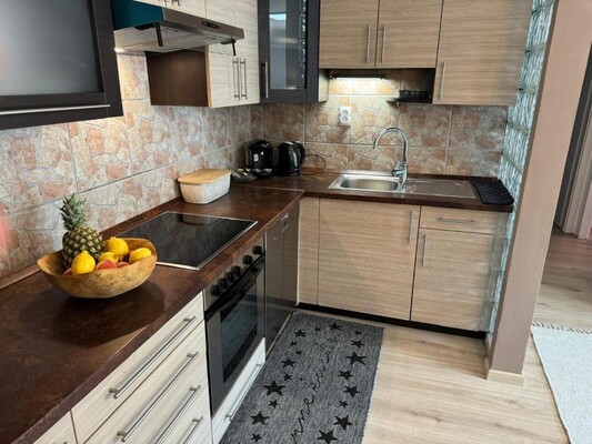 Schnelli Appartement (6)