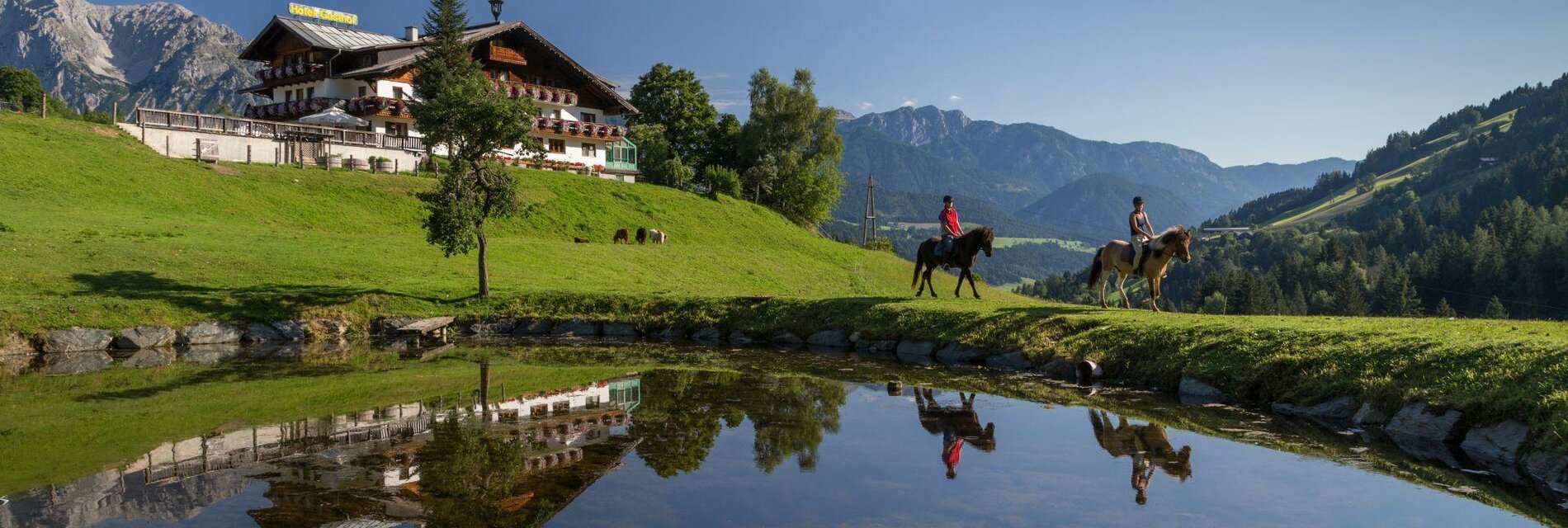 Seiterhof im Sommer