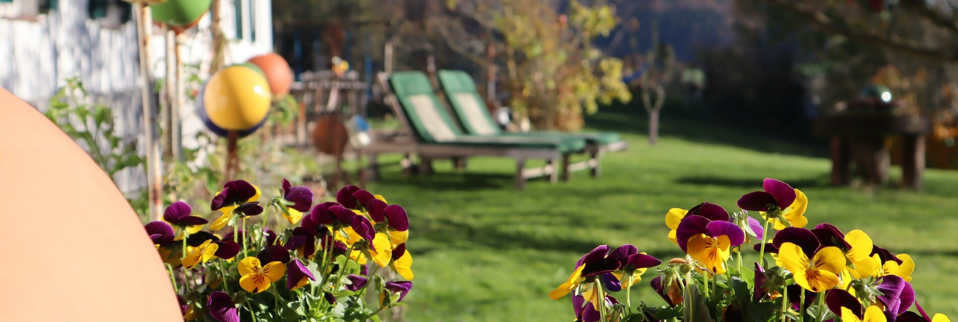 Herbst im Sonnenhaus