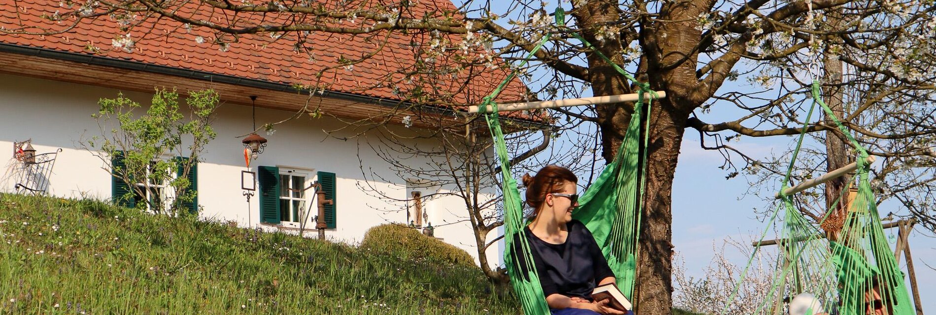 Zur Baumblüte in der Hängematte