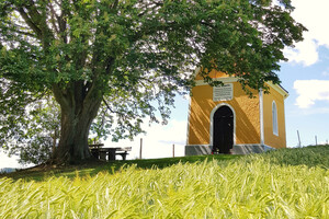 Muenzer Kapelle am HimmelErdenWeg | © Sonnenhaus Grandl