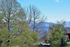 View of the winter garden (loggia)