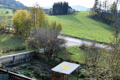 Balcony view of the vegetable garden