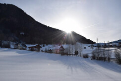 Strahlendes Erwachen