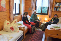 driple room with single bed