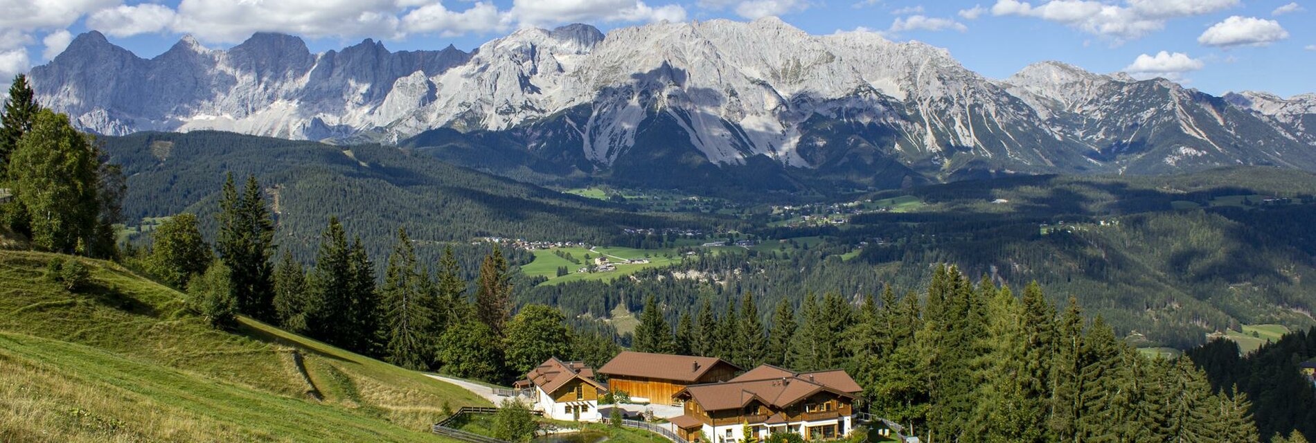 stegerhof Panorama Sommer