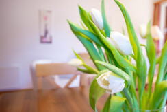 appstranach-top4-lowres-15