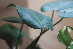 202407_OLDSCHOOL_779