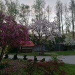 Photo of gemütlich, Suite, bath, toilet, facing the forest