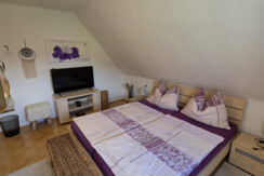 UnterkunftamBadesee-Teichzimmer-Murtal-Steiermark 