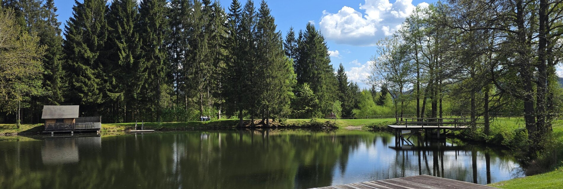 UnterkunftamBadesee-Teich-Murtal-Steiermark