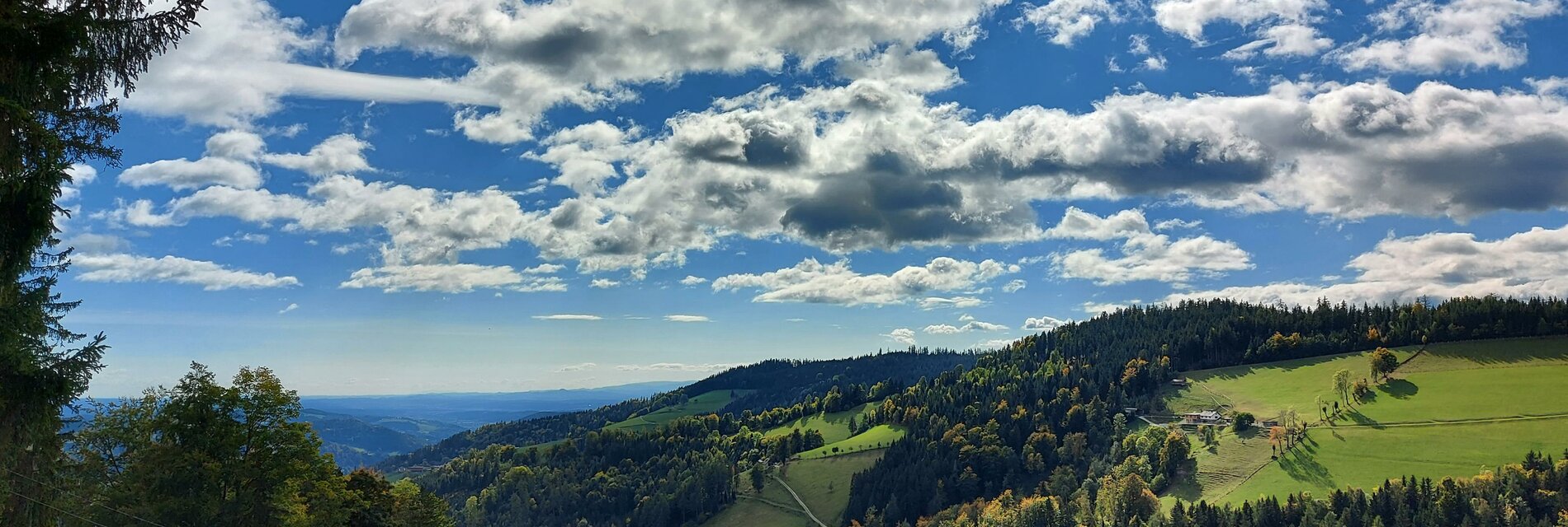 Panorama im Sommer