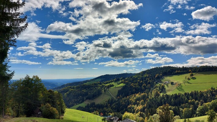 Panorama im Sommer | © Krieglhütte-Huber