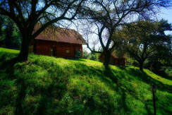 Blockhäuser Apfel & Birne II