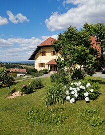 Urlaub am Weinbauernhof Bernhard | © Weinbauernhof Bernhard | Weinbauernhof Bernhard | © Weinbauernhof Bernhard