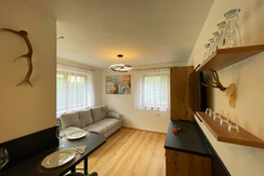 TOP4-Wohnraum-Ansicht