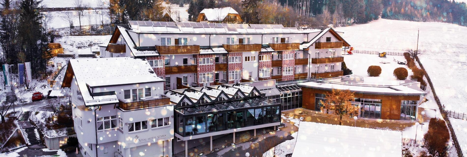 Vital Hotel Styria Winter