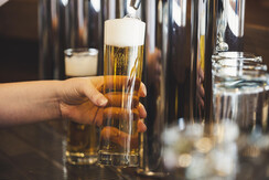 Bier_zapfen__Bernhard_ Bergmann