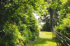 (c) bernhard bergmann-1902936