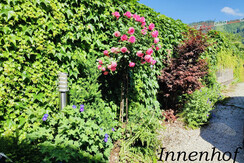 52c69236-bcfe-4b48-998e-168634754b92