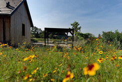 Viel Natur - Vulkanland Farm Straden