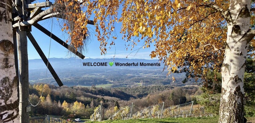 Welcome Wonderful Moments