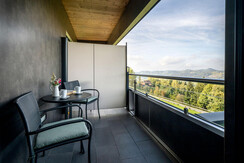 180°naturparkzimmer-wurzenberg-aussicht-balkon