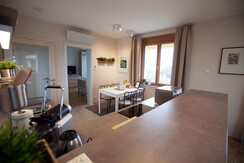 Birkenlodge Küchenausblick