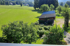 Blick auf den Garten vorm Haus