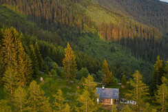 Waldhütte KOSAK in absoluter Alleinlage