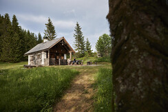 Herzlich Willkommen in der Waldhütte KOSAK