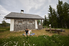 Zurück zu meinen Wurzeln