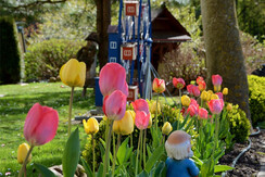 Garten Waldhof Mara Grafendorf