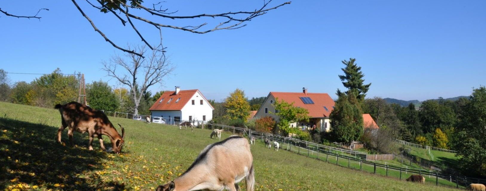 kellerstöckl haupthaus tiere