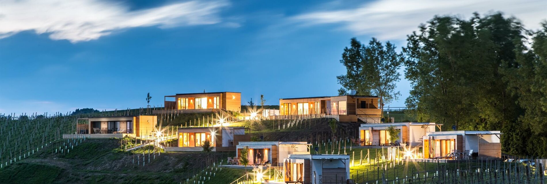 Weingarten-Resort Unterlamm Loipersdorf